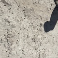 IMG 7043